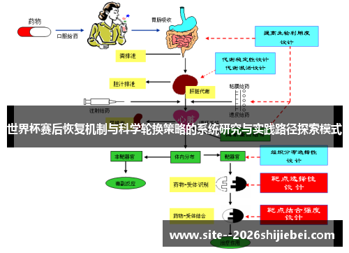 世界杯赛后恢复机制与科学轮换策略的系统研究与实践路径探索模式 世界杯赛后恢复机制与科学轮换策略的系统研究与实践路径探索模式