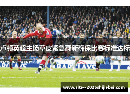 卢顿英超主场草皮紧急翻新确保比赛标准达标 卢顿英超主场草皮紧急翻新确保比赛标准达标